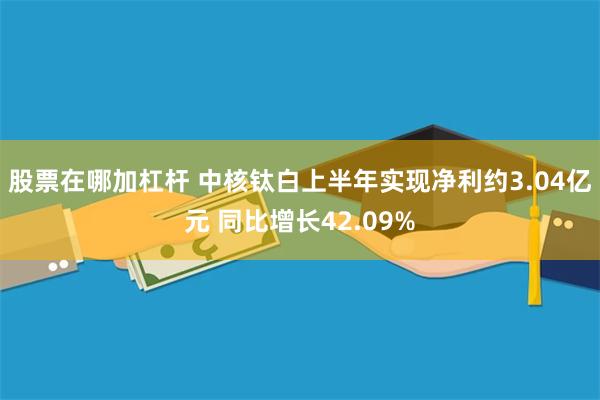 股票在哪加杠杆 中核钛白上半年实现净利约3.04亿元 同比增长42.09%