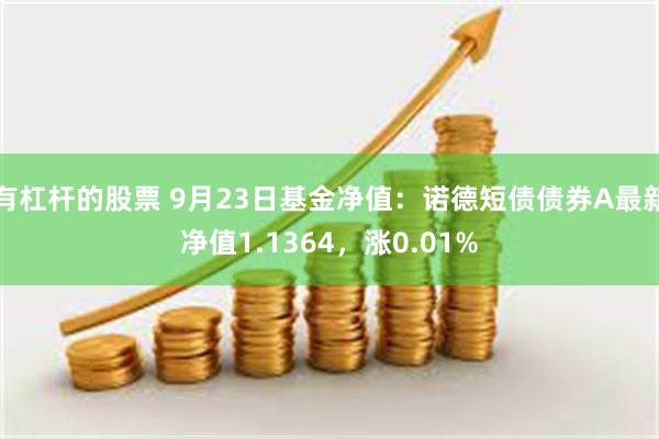 有杠杆的股票 9月23日基金净值：诺德短债债券A最新净值1.1364，涨0.01%