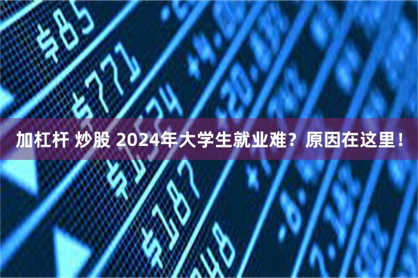 加杠杆 炒股 2024年大学生就业难？原因在这里！